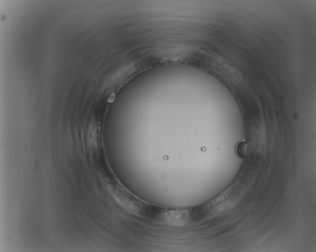 X0000062870126200601171431