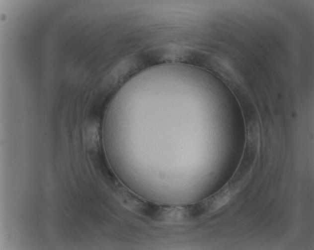 X0000062870127200601171431