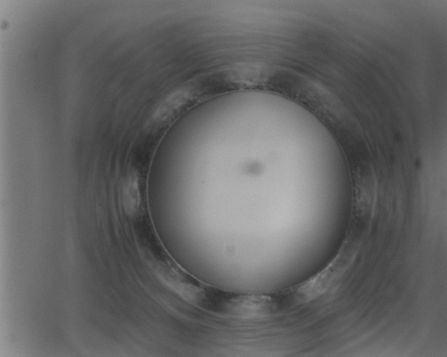 X0000062870128200601171431