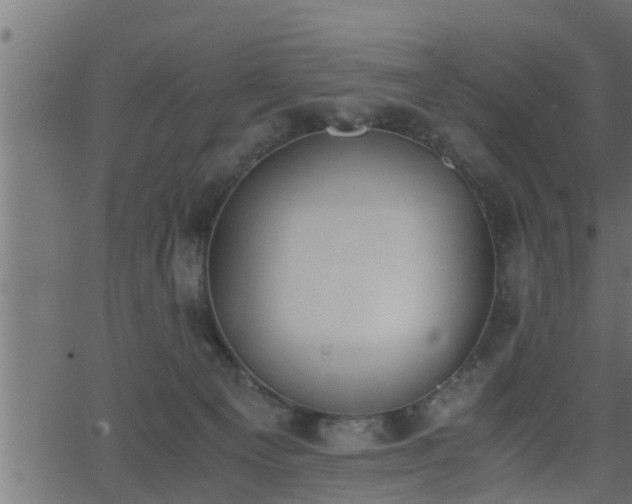 X0000062870129200601171431