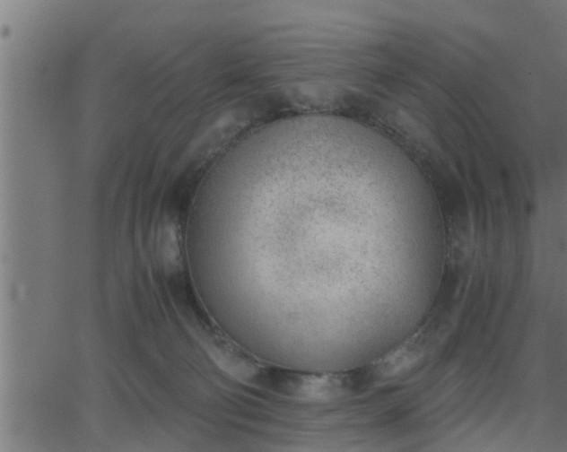 X0000062870130200601171431