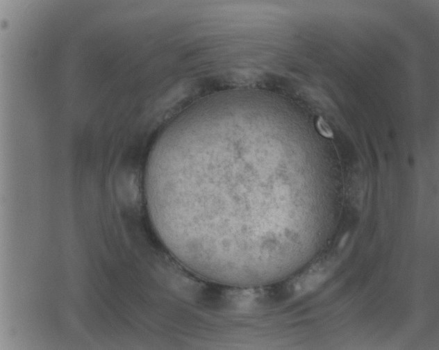 X0000062870131200601171431