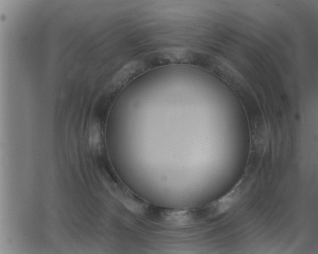 X0000062870132200601171431