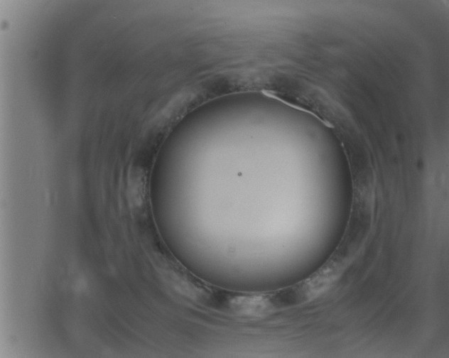 X0000062870133200601171431