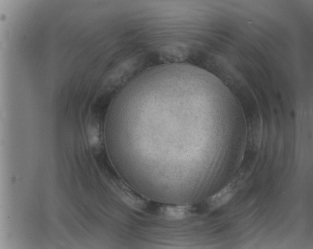 X0000062870134200601171431