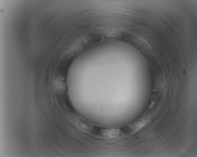 X0000062870135200601171431