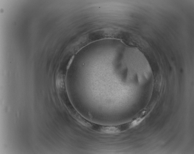 X0000062870137200601171431