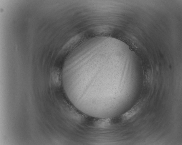 X0000062870138200601171431