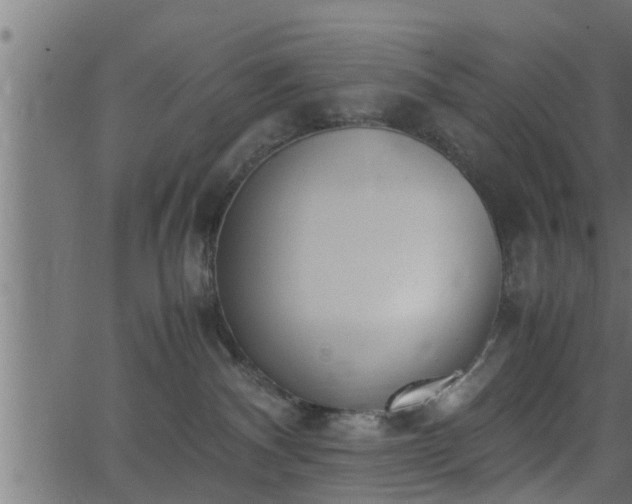 X0000062870140200601171431