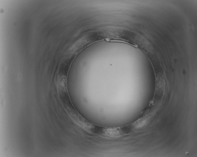 X0000062870141200601171431