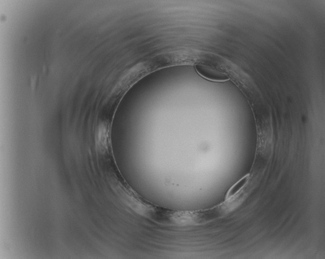 X0000062870142200601171431