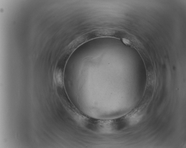 X0000062870143200601171431