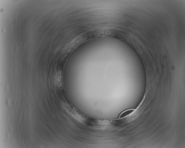 X0000062870144200601171431