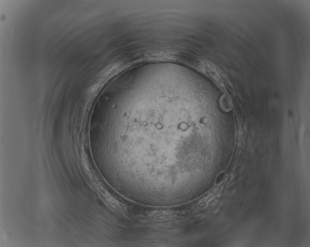 X0000062870145200601171430