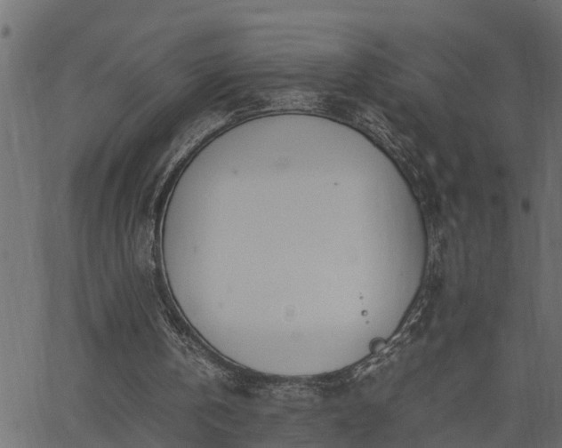 X0000062870146200601171430