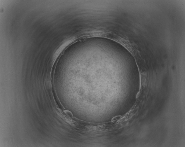 X0000062870147200601171430