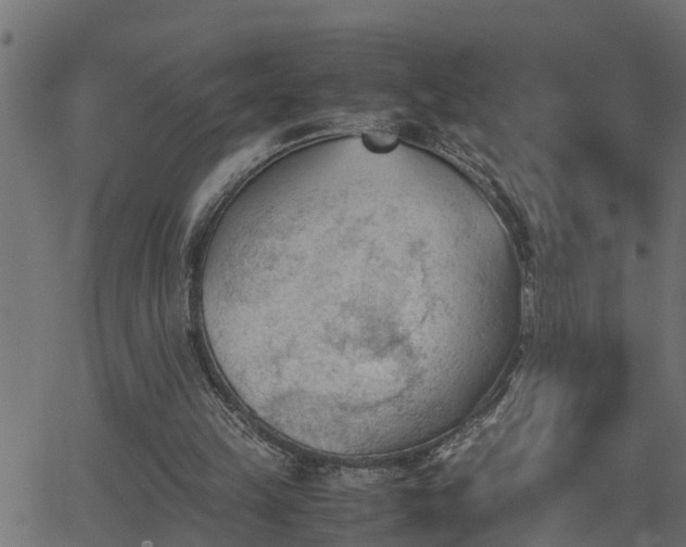 X0000062870149200601171430