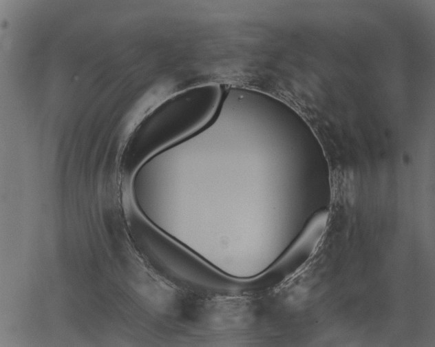 X0000062870150200601171430