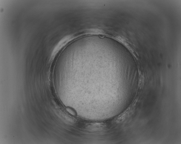 X0000062870151200601171430