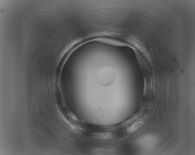 X0000062870156200601171430