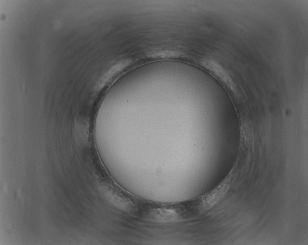 X0000062870159200601171430