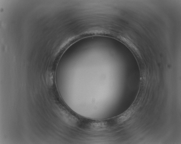 X0000062870160200601171430