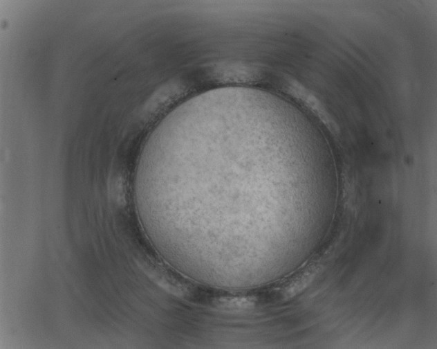 X0000062870161200601171430