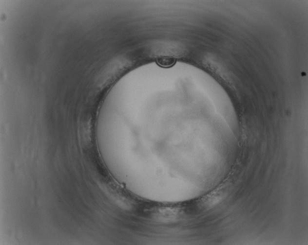 X0000062870163200601171430