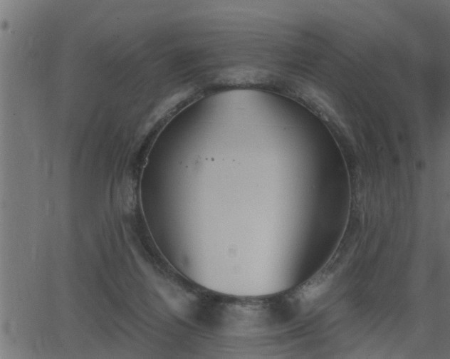 X0000062870164200601171431