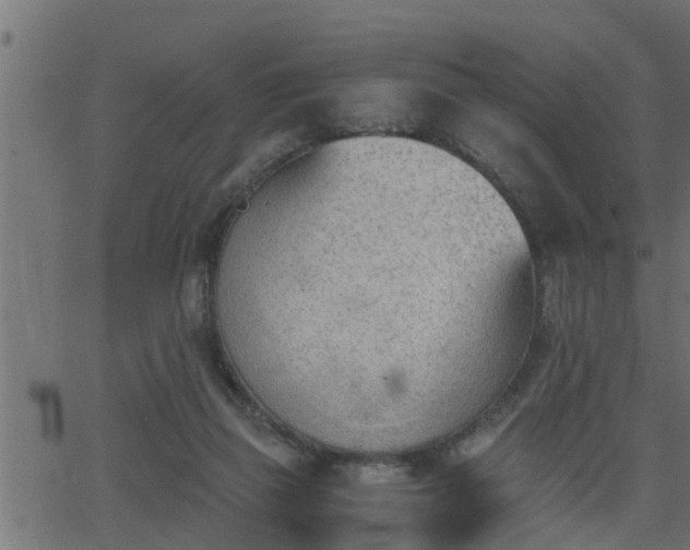 X0000062870165200601171431