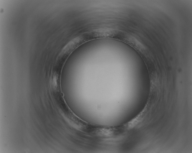 X0000062870166200601171431