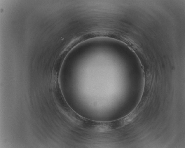 X0000062870168200601171431