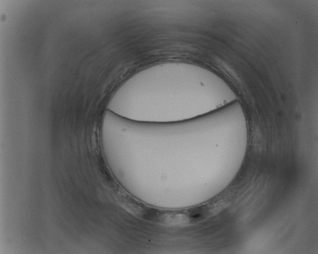 X0000062870169200601171431