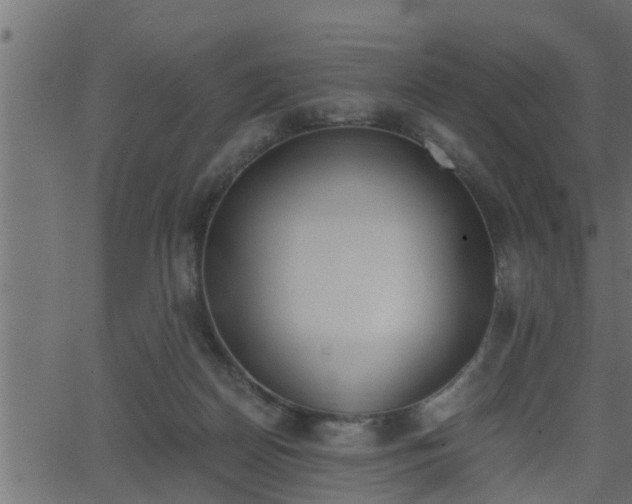 X0000062870170200601171431