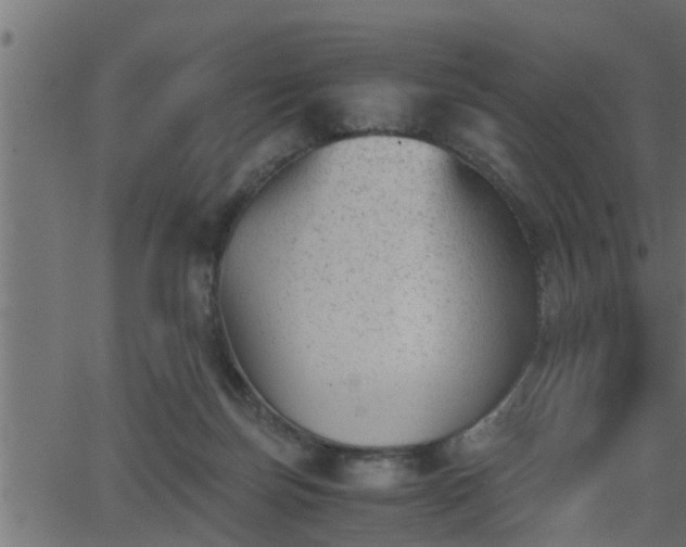 X0000062870171200601171431