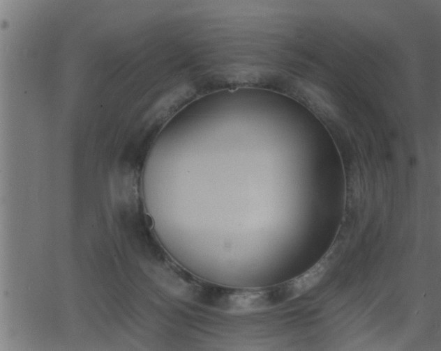 X0000062870172200601171431