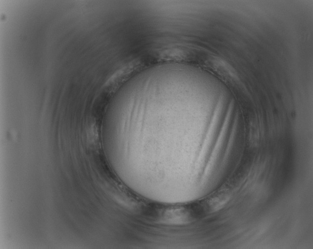 X0000062870173200601171431