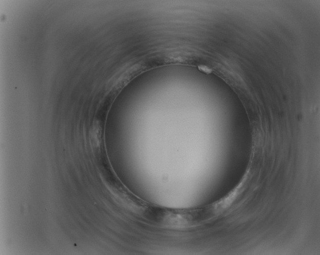 X0000062870174200601171431