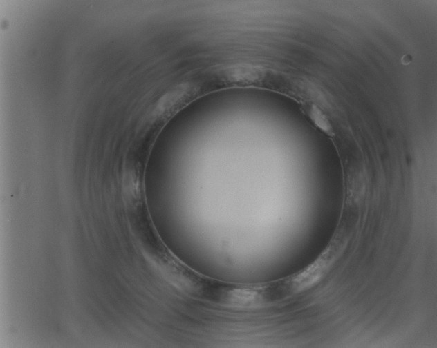 X0000062870176200601171431