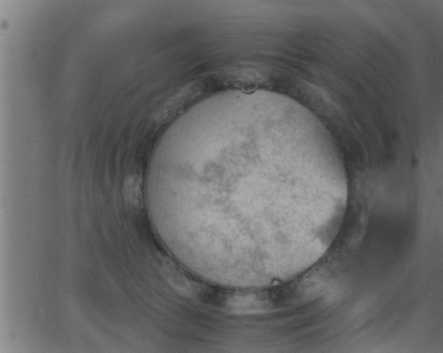 X0000062870177200601171431