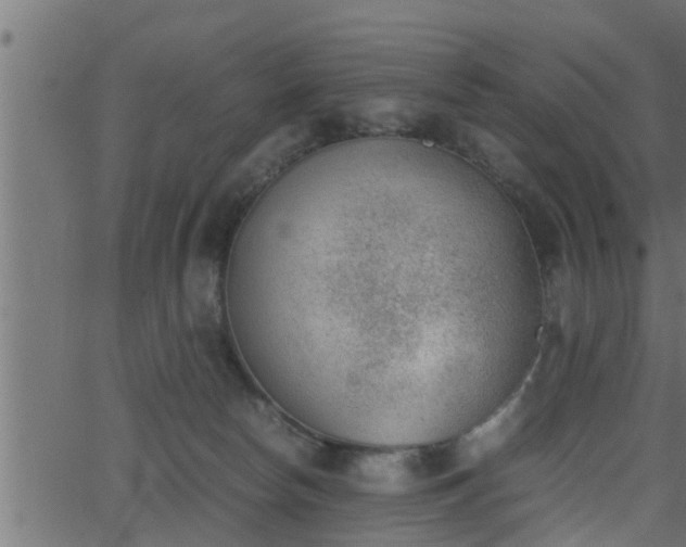 X0000062870178200601171431