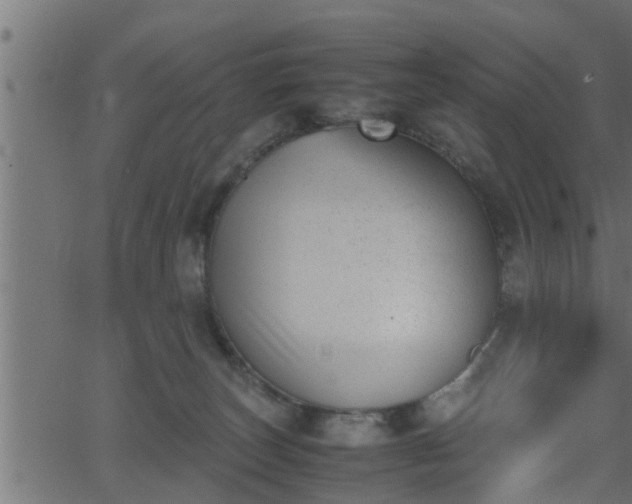 X0000062870179200601171431