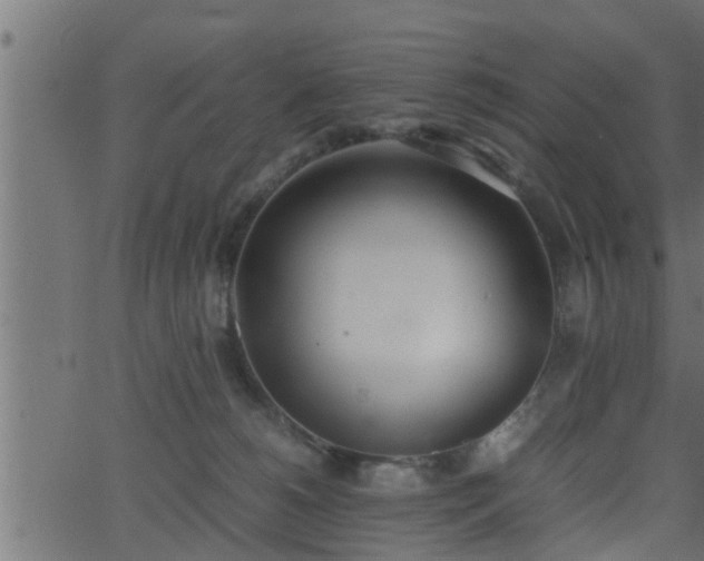 X0000062870180200601171431