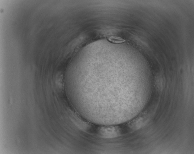 X0000062870181200601171431