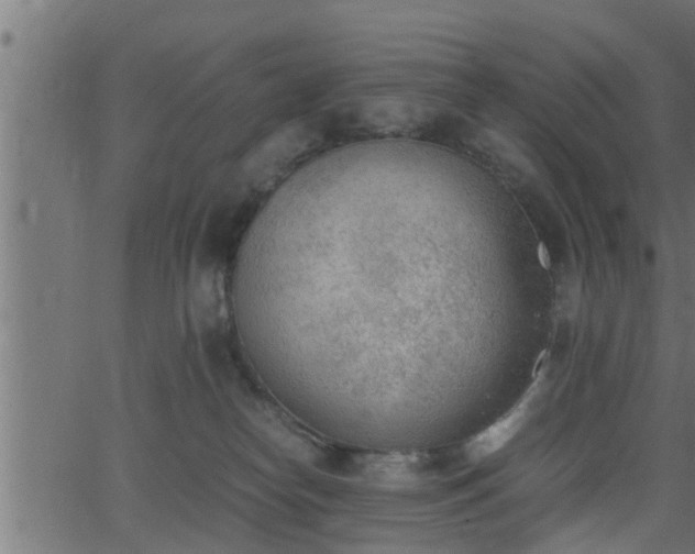 X0000062870182200601171431