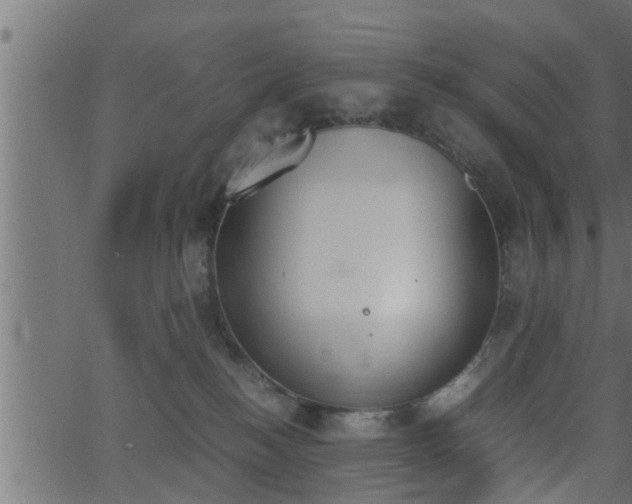 X0000062870184200601171431