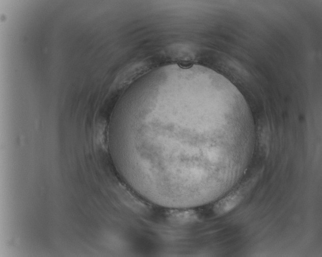 X0000062870185200601171431