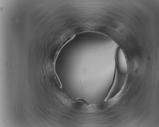 X0000062870186200601171431