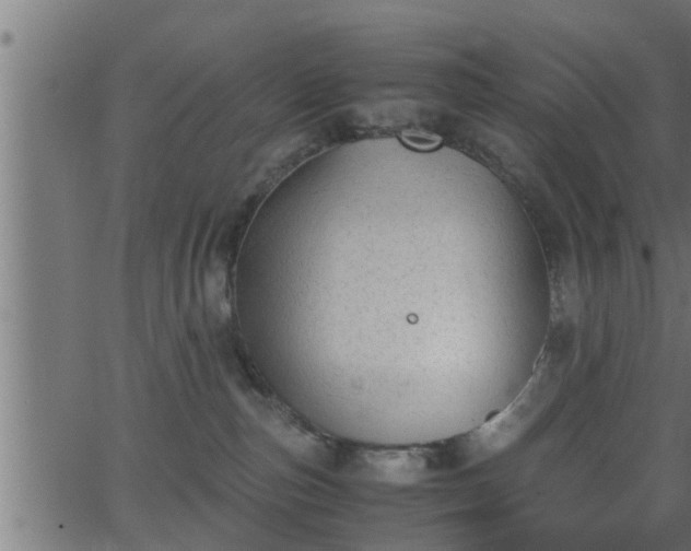 X0000062870187200601171431