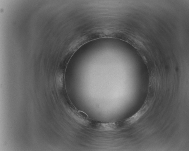 X0000062870188200601171431